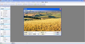 面業(yè)專(zhuān)家面粉廠管理系統(tǒng)V2012官方綠色版 實(shí)現(xiàn)高效生產(chǎn)與外圍設(shè)備智能管理